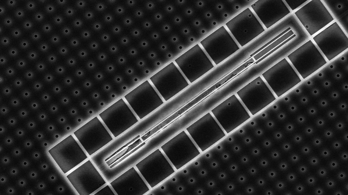 Electro-optomechanical Systems – Integrated Hybrid Quantum Circuits