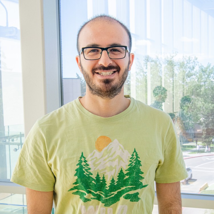 Team – Integrated Hybrid Quantum Circuits